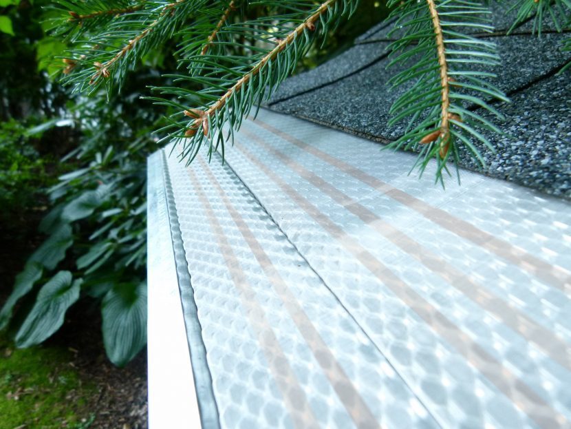 Close-up of a copper gutter with pine branches overhead